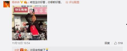 杨宗纬老婆图片,揭秘他与爱妻甜蜜合影背后的温馨故事